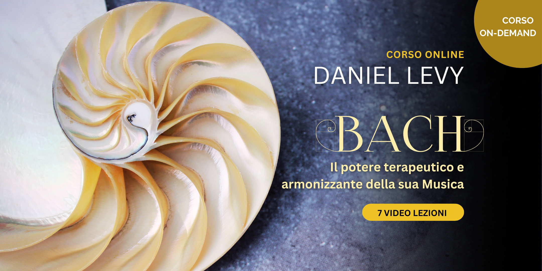 corso Bach di Daniel Levy